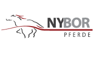 Logo_NYBOR